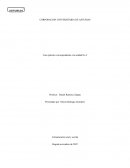 Caso práctico correspondiente a la unidad No 3. Comunicación oral y escrita