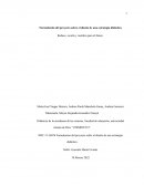 Formulación del proyecto sobre el diseño de una estrategia didáctica