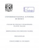 Día Internacional de la Mujer: Historia, lucha y reconocimiento