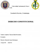 Los nuevos derechos que contiene la nueva constitución de Nuevo León