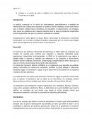 Ensayo politica comercial