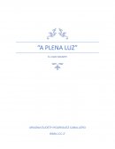 A plena luz. El caso Navarte