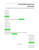 Relaciones semánticas. Analogías