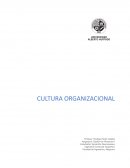Cultura organizacional, su significado y funciones