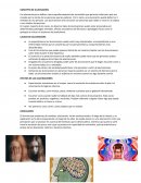 ﻿Concepto y causas de alucinación