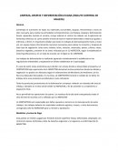 Limpieza, despeje y deforestación Liviana