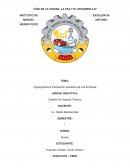 Organigrama & Planeación operativa de una Empresa