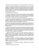 Diferentes tipos de mercado, sus características y funciones