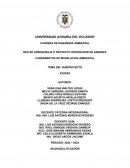 Desarrollo de un modelo poblacional para la conservación del cóndor andino en la región altoandina del Ecuador