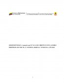 Seropositividad a leptospira spp en vacas de ordeño en fincas