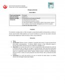 Ensayo sobre un líder emprendedor global