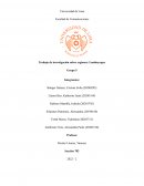 Investigación Educación en Lambayeque