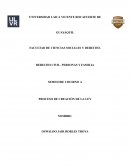 Proceso de creación de la Ley. ¿Qué es el derecho parlamentario?