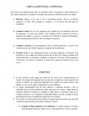 Circulación natal vs posnatal