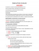 Sistema Éxito-Conductor. Anatomía