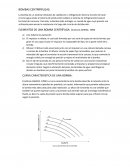 Bombas centrrífugas