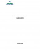 Reglamento interno de seguridad y salud en el trabajo Quarks Drones SAC