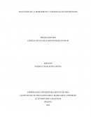 Aplicación de la herramienta y estrategia de intervención