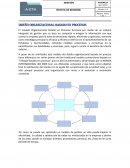 Diseño Organizacional Basado en Procesos