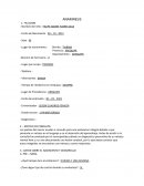 Anamnesis. Los padres del menor acuden a consulta para una evaluacion integral