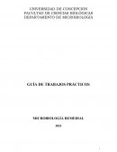 Guía de trabajos prácticos. Microbiología remedial