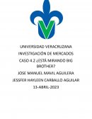 ¿Está mirando big brother?