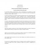 Analisis reflexivo Grupo Bimbo