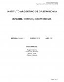 Aplicación del conejo en gastronomia