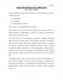Principios básicos del curriculum