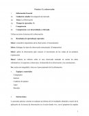 Investigación de mercados. La Observación