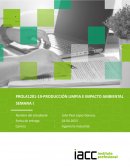 Producción limpia e impacto ambiental