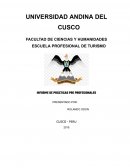 Informe de prácticas Área de gestión y dirección de empresas turísticas