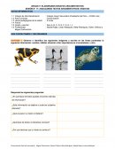 Biodiversidad: diversidad biológica y su importancia para el país y/o el mundo