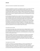 El mercado. ¿Cómo son el conjunto de compradores reales y potenciales?