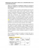 Metodologia (Explicación a detalle de la secuencialidad de las actividades realizadas)