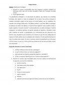 Trabajo Práctico Materia: Planificación Estratégica