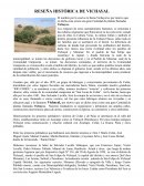 Reseña histórica de Vichayal