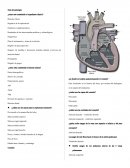 Guia de patologia ¿cómo esta constituido el expediente clinico?