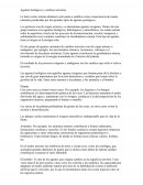 Agentes biológicos y cambios terrestres