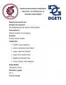 Reporte de práctica de grupo sanguineo