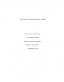 ¿Qué pasaría si no hubiera ingenieros de sistemas?