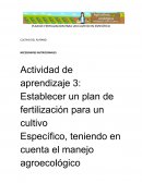 Plan de fertilización para un cultivo en específico. Cultivo del platano