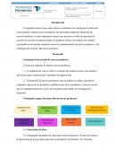 Lectura y Resumen de documento Diseño Nuevo Producto