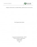 Inteligencia Artificial frente a la Contaduría Pública, Auditoria Externa Y Revisoría Fiscal