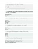 Examen teorico práctico de excel
