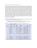 Caso de estudio: Las tiendas Pelican