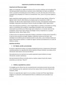 Importancia y beneficios de celulares Apple