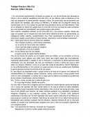 Trabajo Práctico: Mio Cid