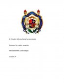 Domesticación y el sueño del planeta