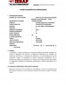 Gestión ejecutiva y funcional